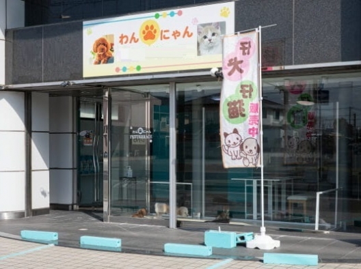 姫路網干　生活幹線道路沿い　ペットサロン　１Ｆ　貸店舗