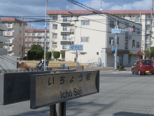 宝塚安倉　県道142号角地　いちょう筋　新築計画